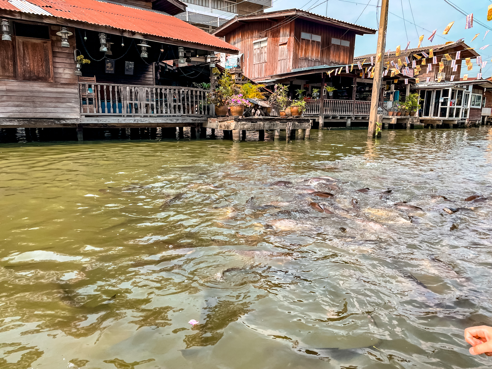 WHAT TO SEE AROUND Taling Chan Floating Market.jpg